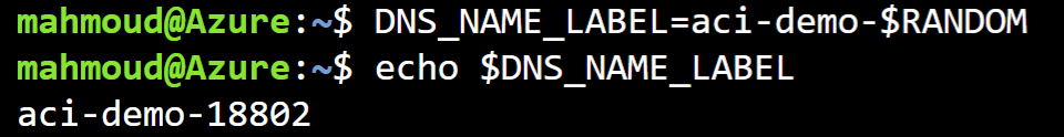 Specifying a DNS name label with Random VARs